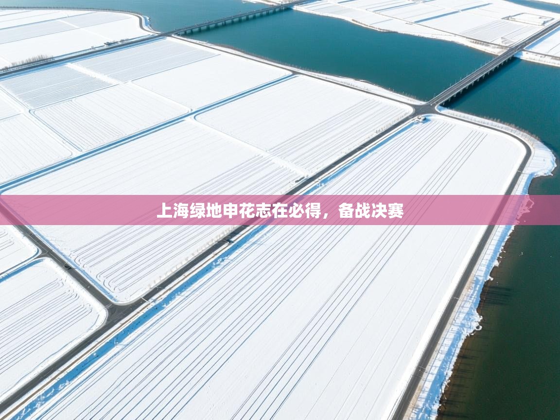 上海绿地申花志在必得，备战决赛  第1张