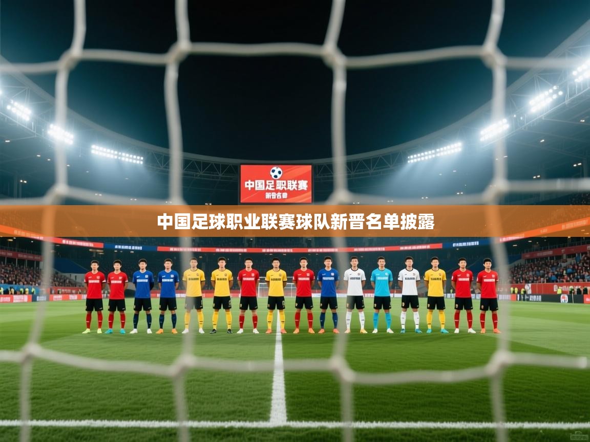 中国足球职业联赛球队新晋名单披露  第1张