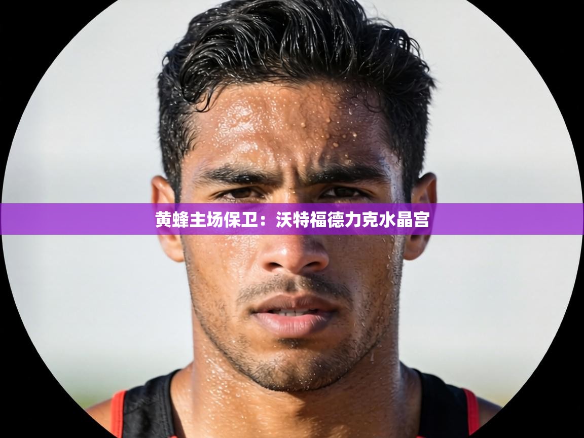 黄蜂主场保卫：沃特福德力克水晶宫  第1张