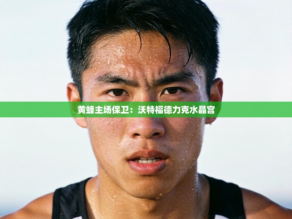 黄蜂主场保卫：沃特福德力克水晶宫  第2张